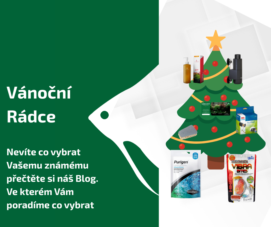 10+1 vánočních dárků V2